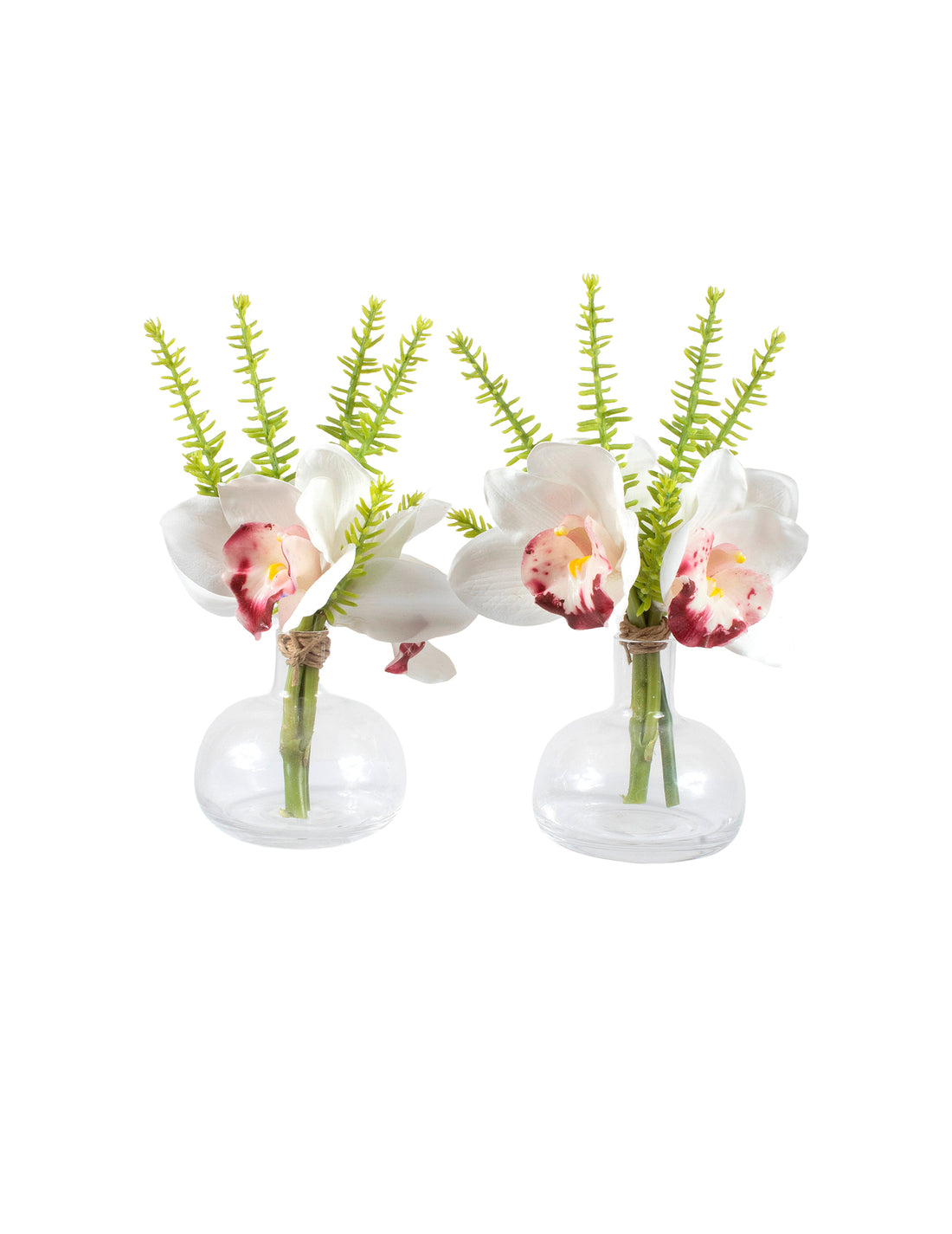ORQ. CYMBIDIUM BR X3 EM VIDRO KIT C/ 2 18CM Cod: A7366BR