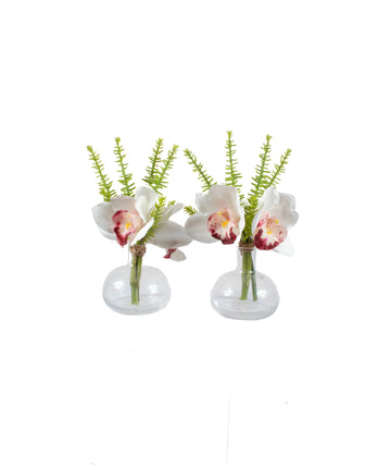 ORQ. CYMBIDIUM BR X3 EM VIDRO KIT C/ 2 18CM Cod: A7366BR