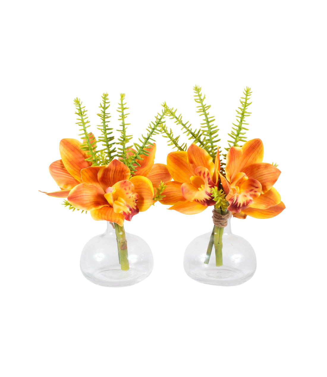 ORQ. CYMBIDIUM LA X3 EM VIDRO, KIT C/ 2, 18CM Cod: A7366LA