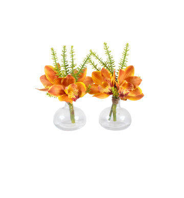 ORQ. CYMBIDIUM LA X3 EM VIDRO, KIT C/ 2, 18CM Cod: A7366LA