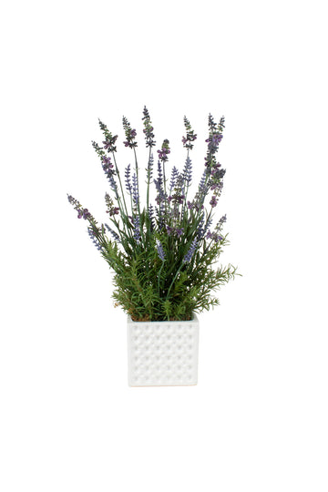 LAVANDAS EM CER, 46CM Cod: A7372