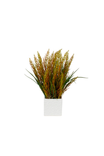 CAPIM DOS PAMPAS X2 EM CER, 36CM Cod: A7374