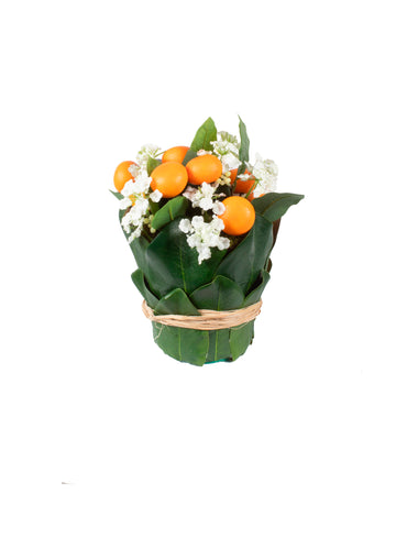 LARANJA KINKAN EM CACHEPOT FOLHAS, 24CM Cod: A7376