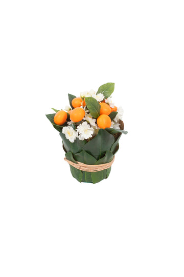 LARANJA KINKAN EM CACHEPOT FOLHAS, 24CM Cod: A7376