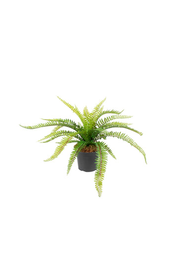 SAMAMBAIA EM POTE PVC, 37CM Cod: A7379PT