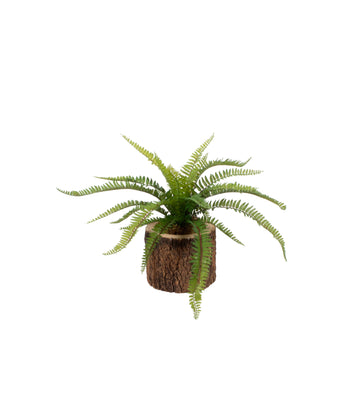 SAMAMBAIA EM CACHEPOT TRONCO, 40CM Cod: A7379