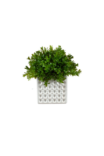 BUXINHO EM CERÂMICA, 22CM Cod: A7393