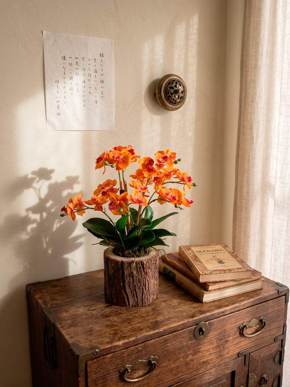 ORQ. PHALAENOPSIS LA EM CACHEPOT TRONCO, 35CM Cod: A7398