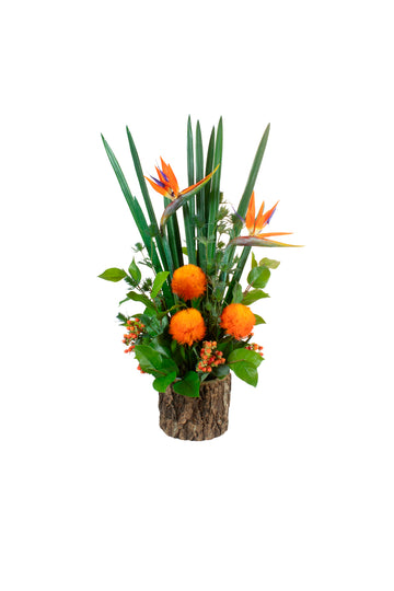 TROPICAL DE ESTRELITZA E DIANTHUS, 85CM Cod: A7410
