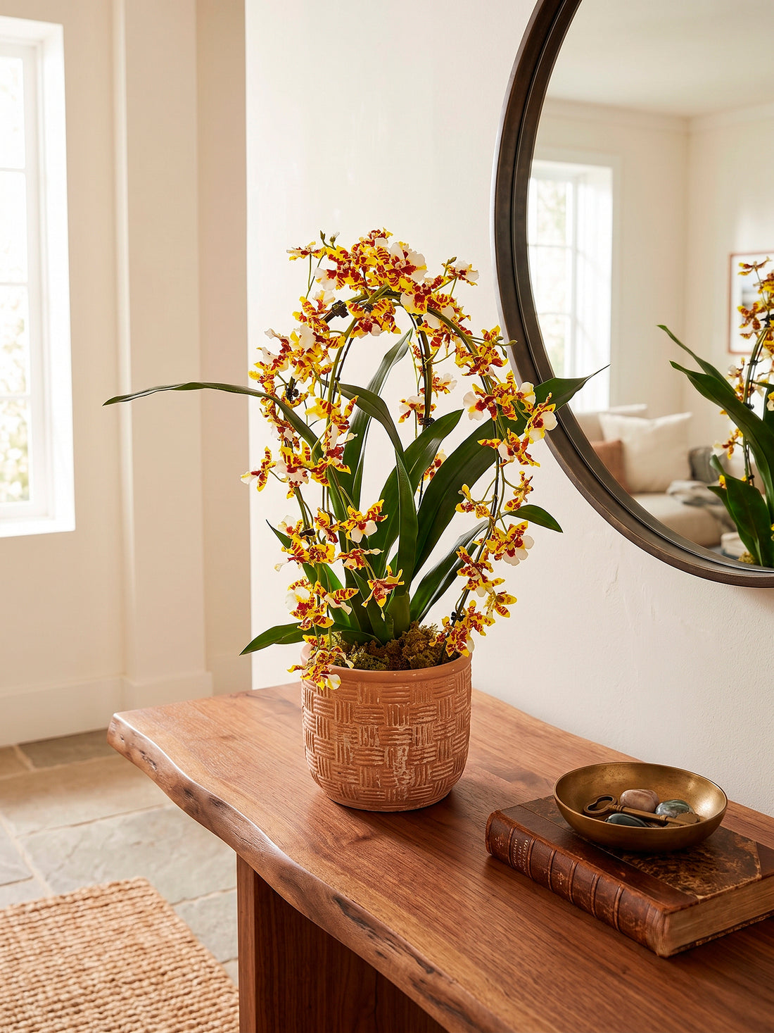 ORQ. ONCIDIUM AMBD, 53CM Cod: A7418