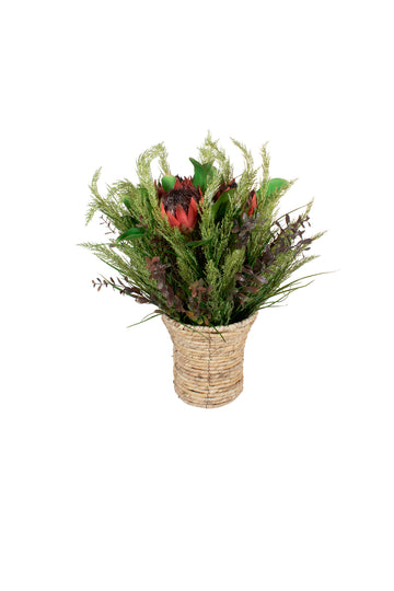 PROTEAS E CAPIM-DOS-PAMPAS EM CESTO, 62CM Cod: A7421