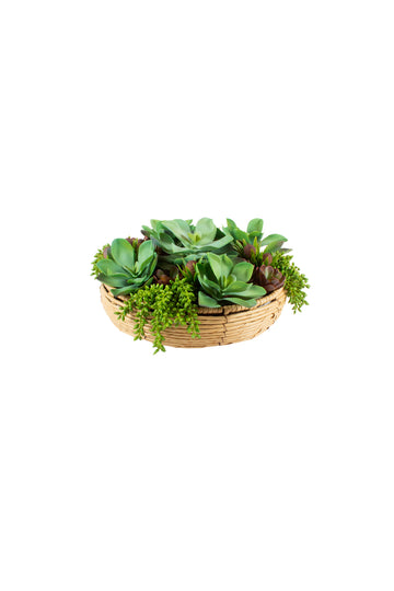 JARDIM DE SUCULENTAS EM CESTO, 30CM DIÂM Cod: A7425