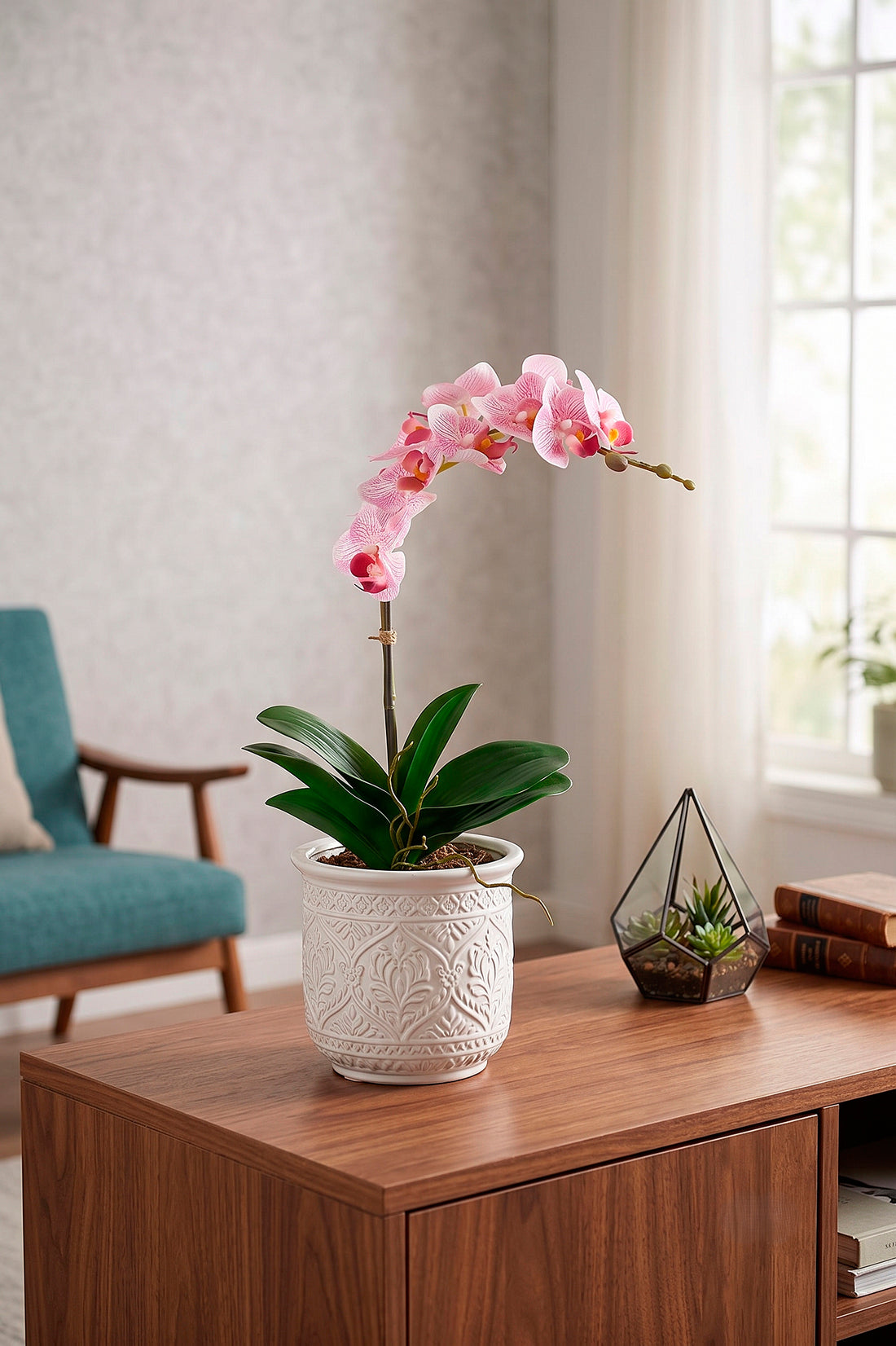 ORQ. PHALAENOPSIS LS EM VPP, 35CM Cod: A7430LS