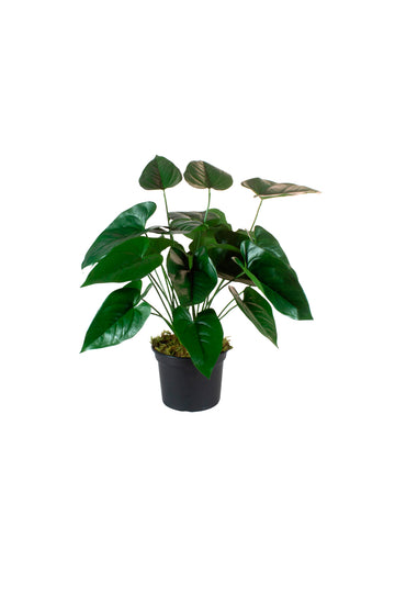 ANTURIOS EM POTE PVC, 60CM Cod: A7437