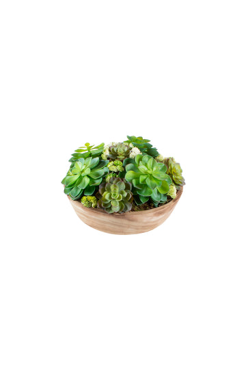 JARDIM DE SUCUL. EM BOWL MADEIRA 34 CM DIÂM X 18CM ALT Cod: A7439