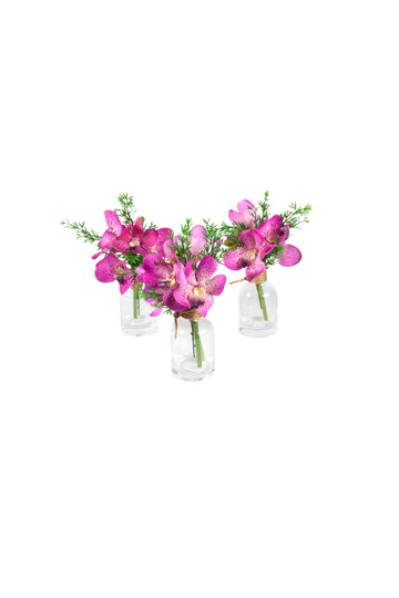 ORQ. VANDA LV KIT C/ 3 VASINHOS, 24CM Cod: A7449LV