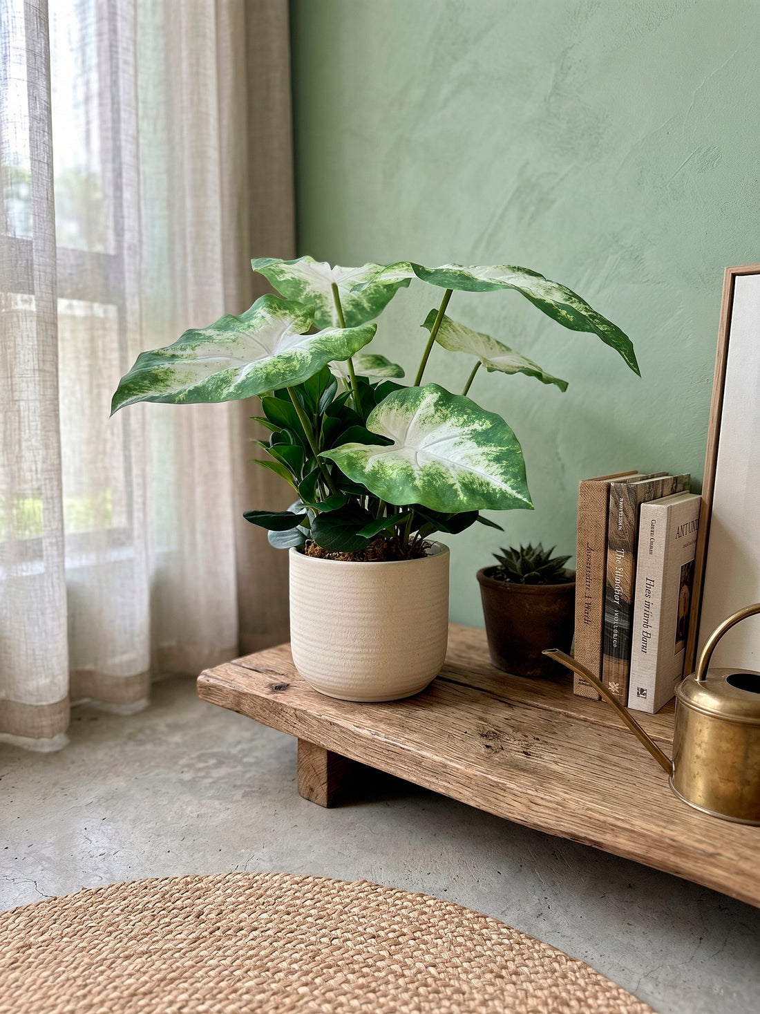CALADIUM E PEPERÔMIA EM POTE PVC, 44CM Cod: A7450