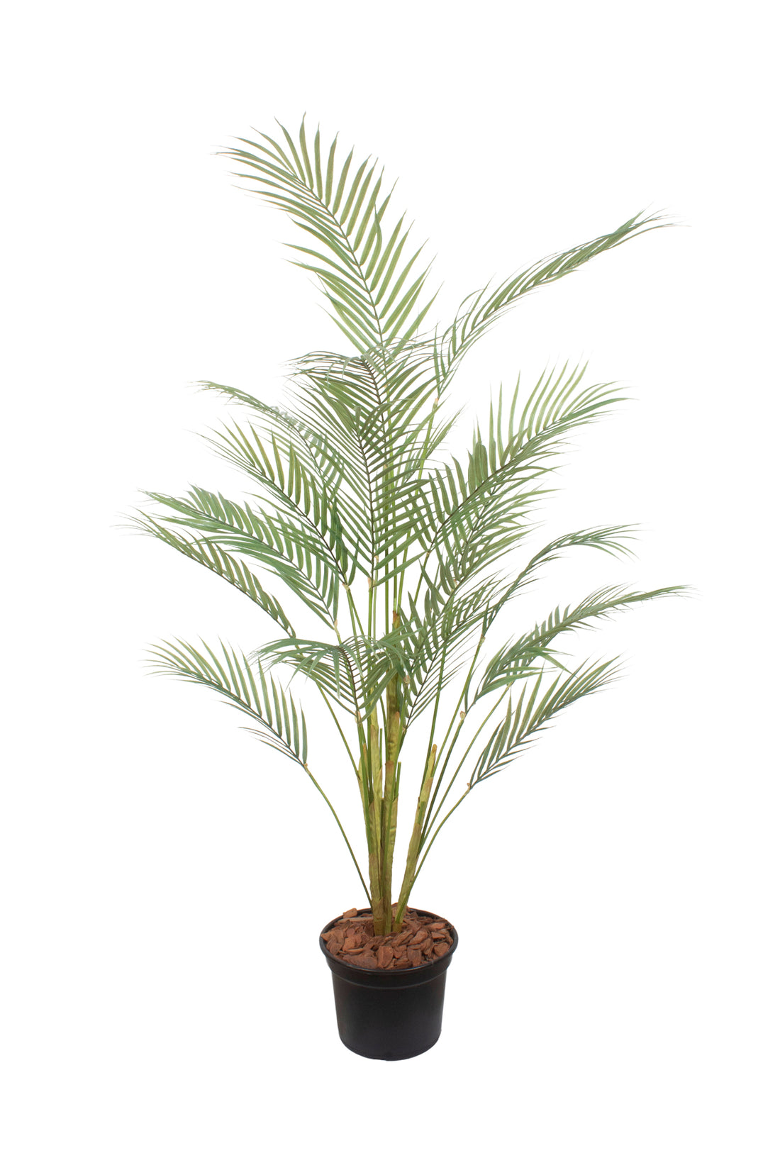 PALMEIRINHA DE 126CM Cod: A7457