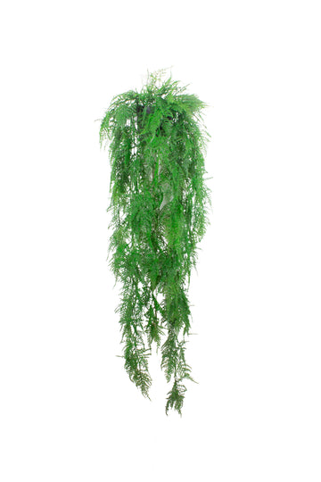 ASPARGO JAPONÊS PENDENTE, 150CM Cod: A7459