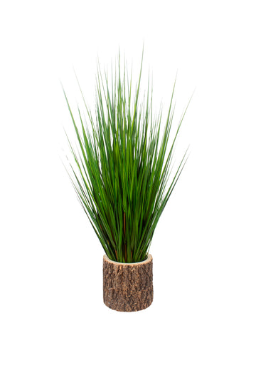 CAPIM MOREIA NO CACHEPOT TRONCO Cod: A7461