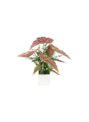 BEGONIA E ASPARGO EM CER, 35CM Cod: A7466