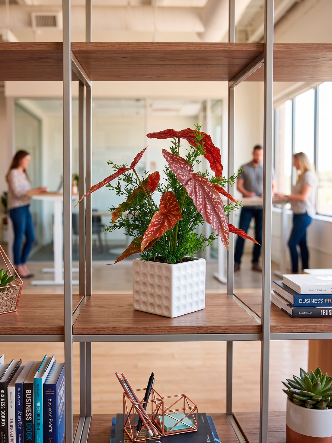 BEGONIA E ASPARGO EM CER 35CM Cod: A7466