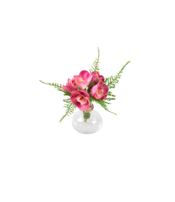 CYMBIDIUM PK X5 EM VIDRO, 21CM Cod: A7468