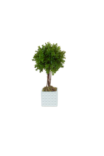 TOPIÁRIA BUXINHO 36CM Cod: A7471