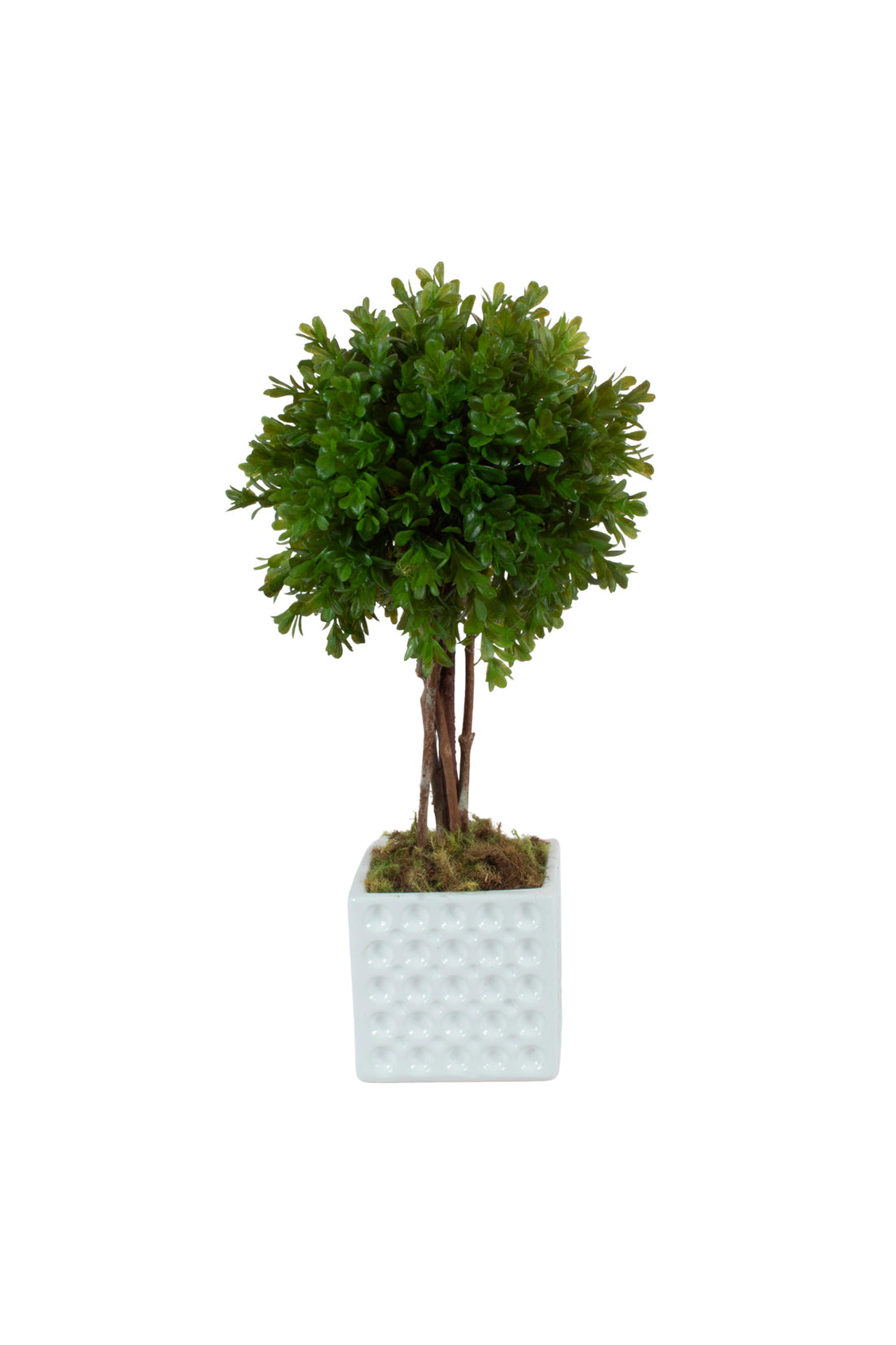 TOPIÁRIA BUXINHO 36CM Cod: A7471