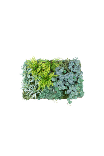 JARDIM VERT  SAXIF/SAMAM/TILAN  80 X 55CM Cod: A7472