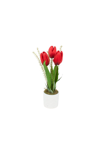 TULIPAS VM X3 EM CER, 34CM Cod: A7474