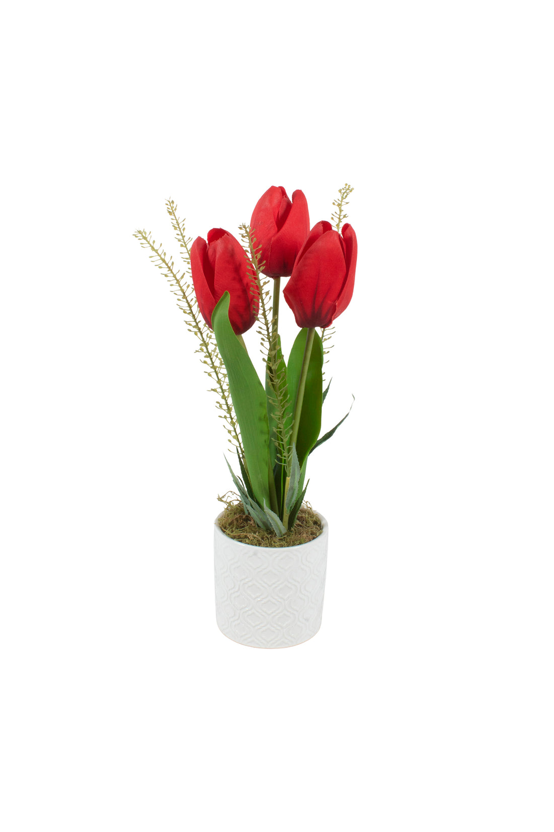 TULIPAS VM X3 EM CER, 34CM Cod: A7474