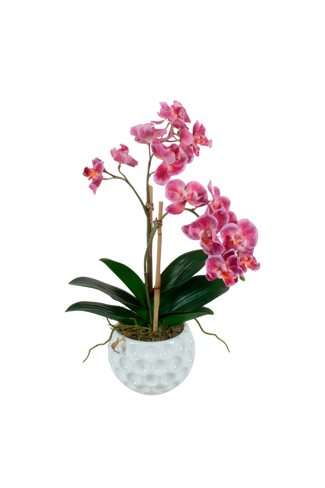 ORQ. MINI PHALAENOPSIS RO X2 EM CER 38CM Cod: A7476