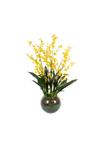ORQ. ONCIDIUM AM EM VIDRO AQUARIO, 92CM Cod: A7480