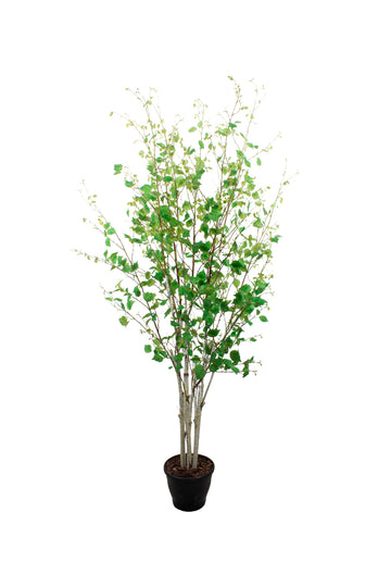 VIDOEIRO FRONDOSO, 185CM Cod: A7484