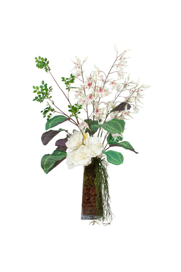ORQ. ONCIDIUM BR RX/ AMARYLLIS, 112CM Cod: A7488