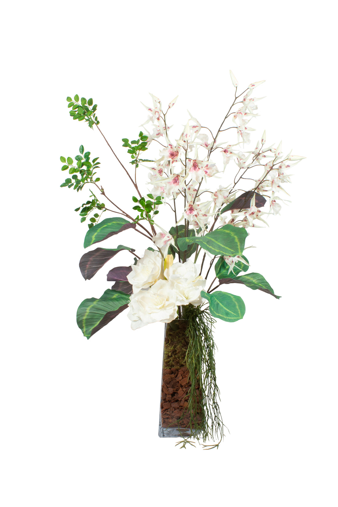 ORQ. ONCIDIUM BR RX/ AMARYLLIS, 112CM Cod: A7488