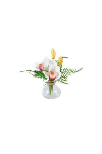 ORQ. CYMBIDIUM BR C/ ASPARGO, 22CM Cod: A7492