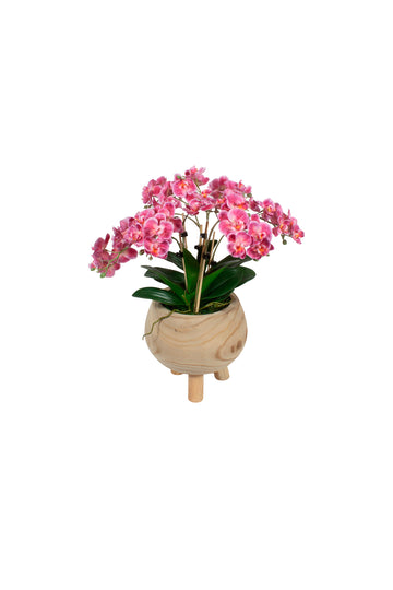 ORQ. PHALAENOPSIS FU EM CACHEPOT TRIPÉ, 46CM Cod: A7495
