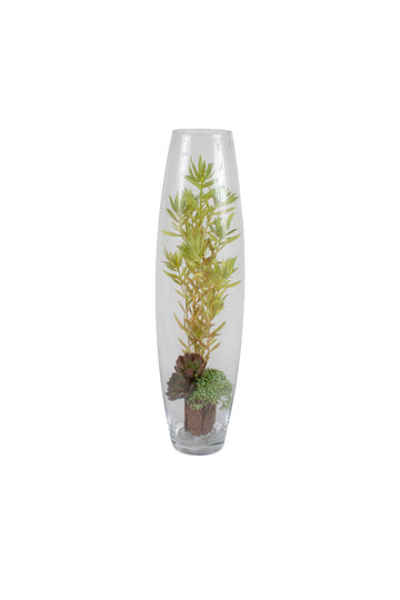 SUCULENTAS  EM VIDRO OVAL, 50CM Cod: A7497