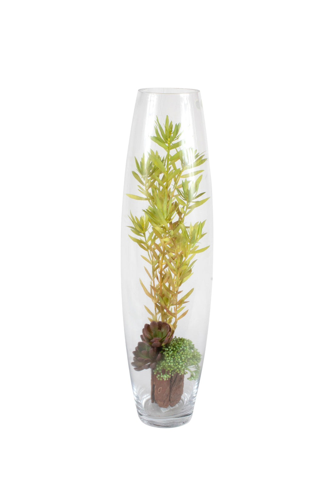 SUCULENTAS  EM VIDRO OVAL, 50CM Cod: A7497