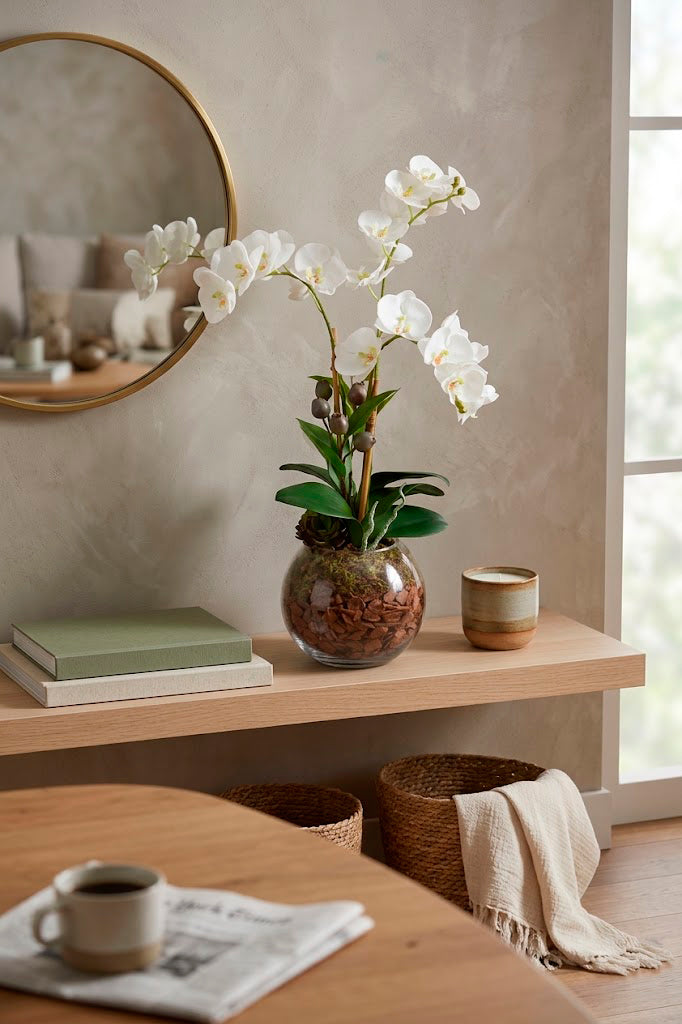 ORQ.PHALAENOPSIS BR X3 EM VIDRO, 65CM Cod: A7499