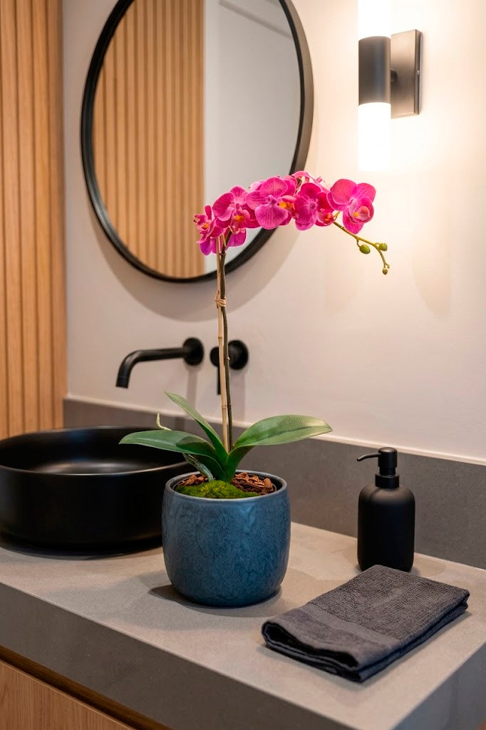 ORQ. PHALAENOPSIS FU X1  PQ  EM POTE PVC, 45CM Cod: A7514