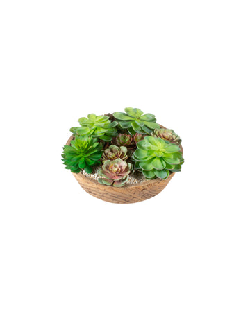 JARDIM DE SUCULENTAS, 35CM DIÂM Cod: A7518