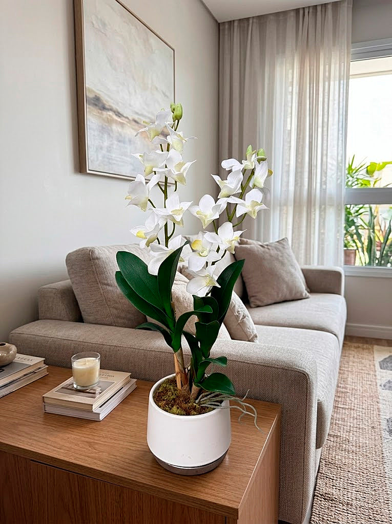 ORQ. DENDROBIUM BR X2 EM VASO, 55CM Cod: A7520
