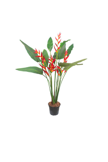 HELICONIAS EM POTE PVC, 110CM Cod: A7528