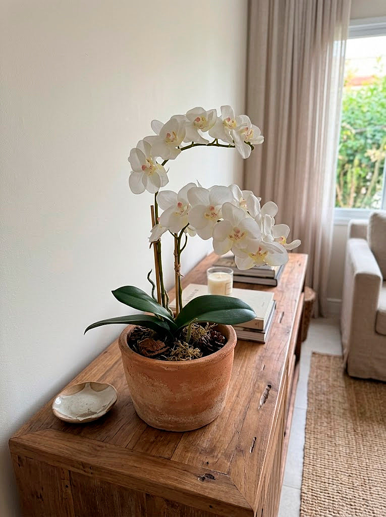 ORQ. PHALAENOPSIS BR X2 EM POTE PVC, 38CM Cod: A7531