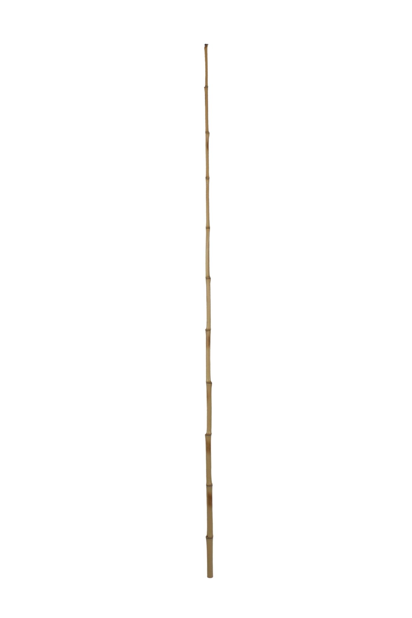 TUTOR DE BAMBOO (MÚLT. 12) 75CM Cod: TB75