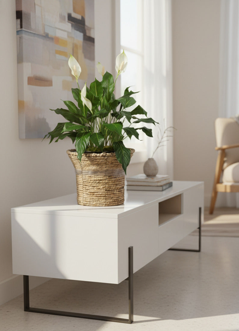 LÍRIOS DA PAZ EM POTE PVC 70CM Cod: A6934PT