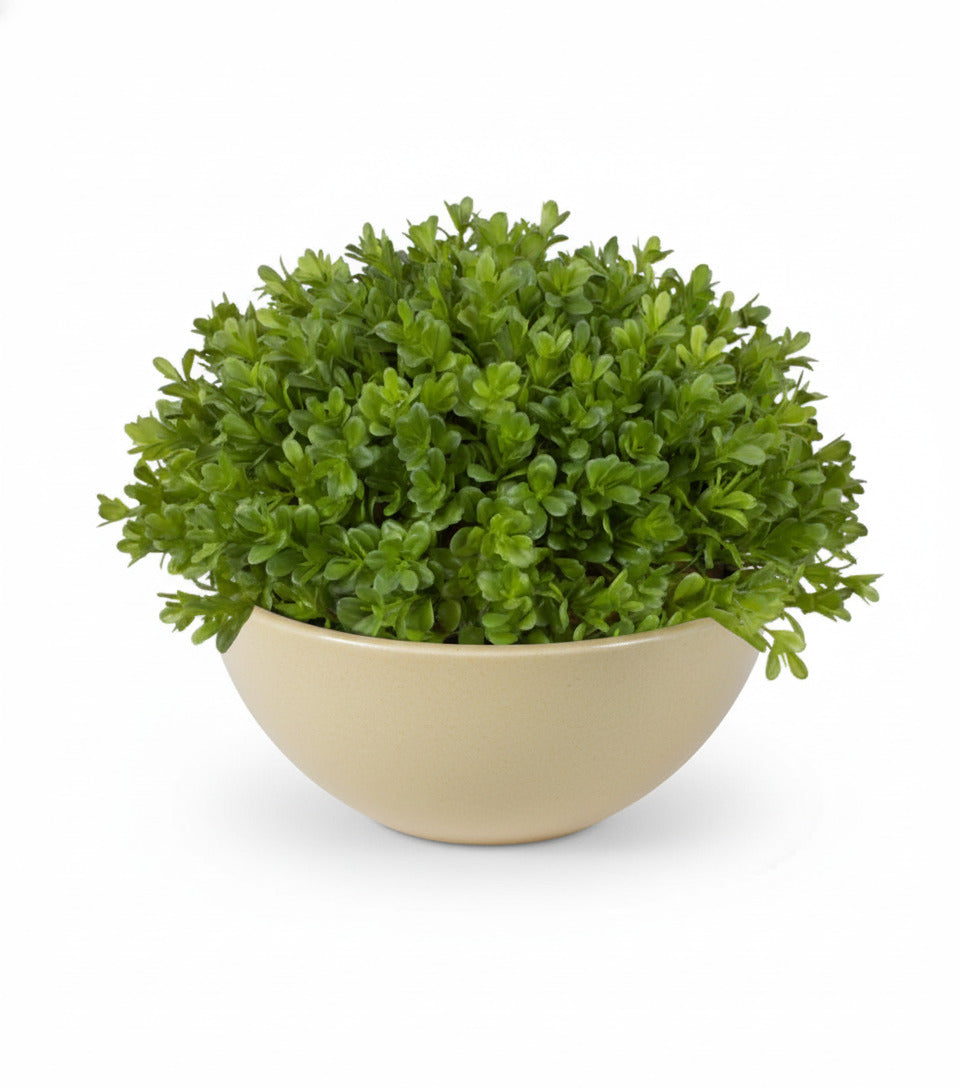 VASO BOWL 15CM CREME Cod: 8479